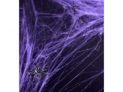 Fialová pavoučí síť