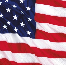 Papírové ubrousky USA