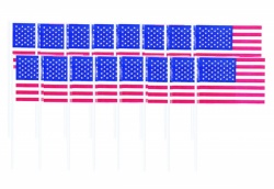 Párátka USA