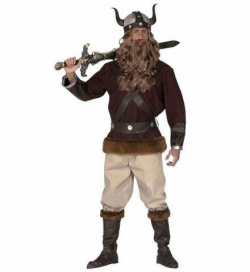 Viking bojovník