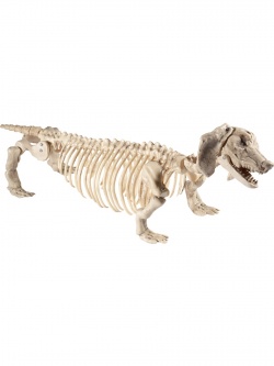 Halloweenská dekorace psí kostra