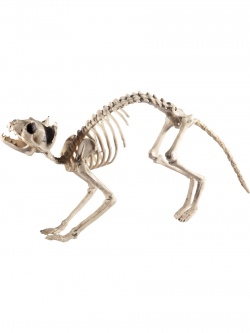 Halloweenská dekorace kočičí kostra