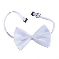 Elegantní bílý motýlek